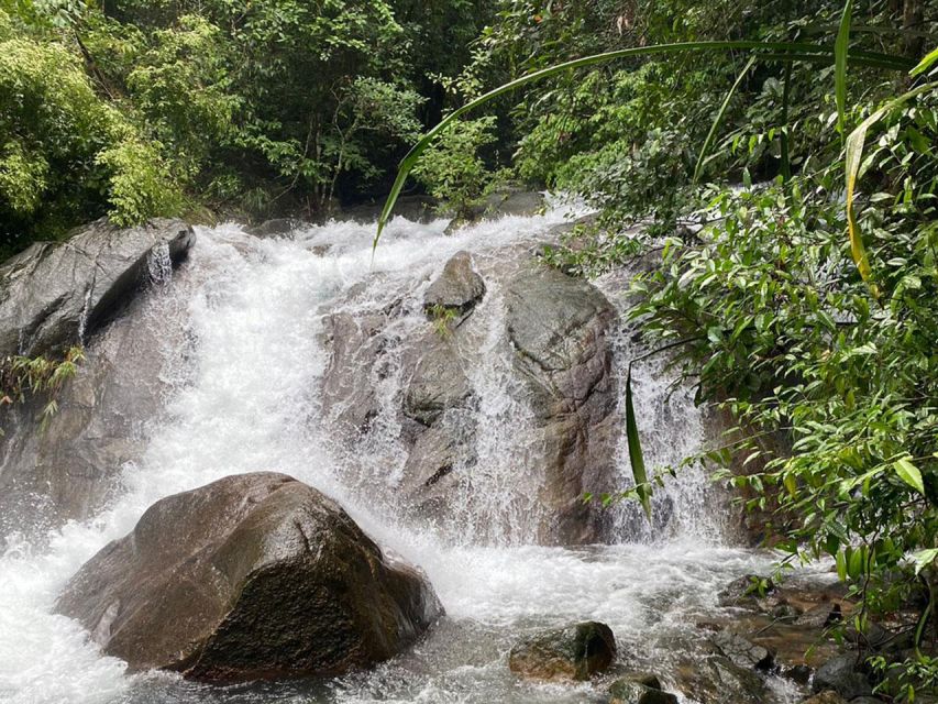 Phuket: Bamboo Rafting, Monkey Cave, and ATV Option - Bamboo rafting through mangroves: the wet part is the point