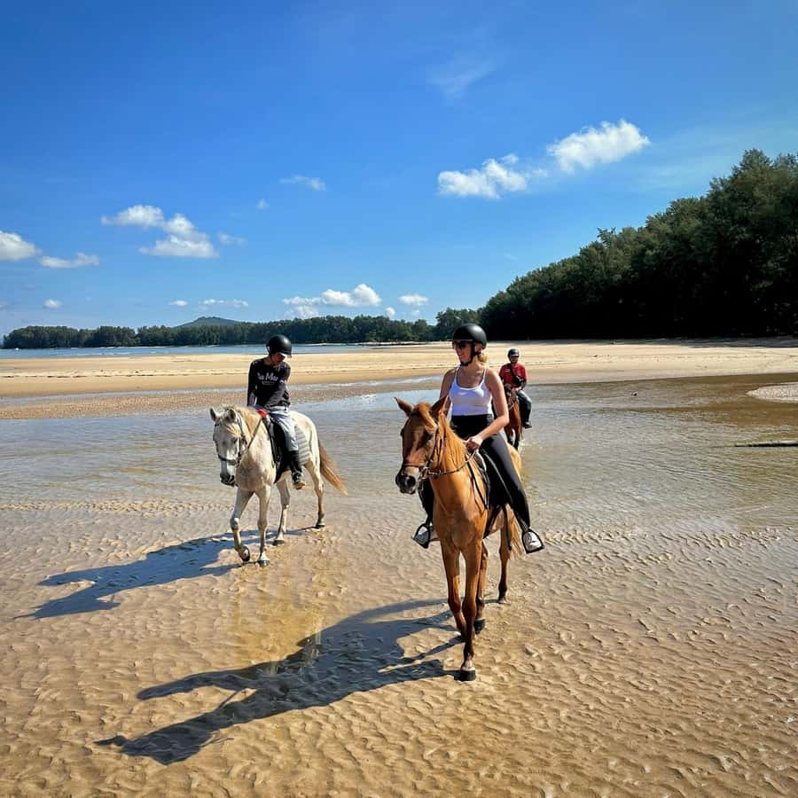 Phuket Beach Horseback Adventure - Practical logistics you should plan before you go