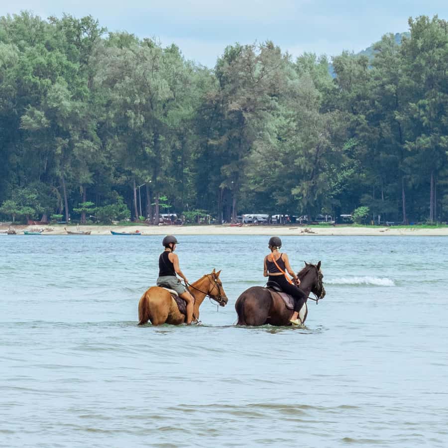 Phuket Beach Horseback Adventure - The route: gardens first, then the beach (with an option toward the sea)