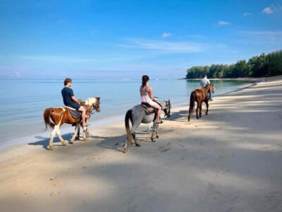 Phuket Beach Horseback Adventure