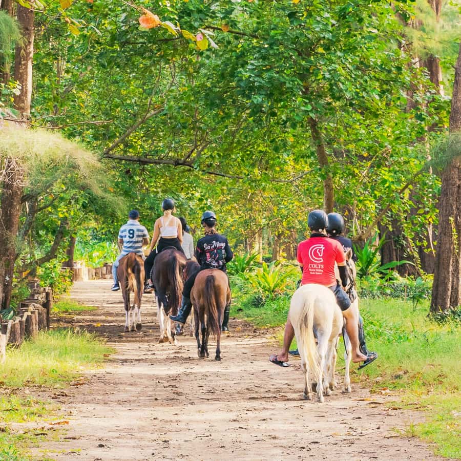 Phuket Beach Horseback Adventure - Sunrise or sunset choices, and how to pick the best one