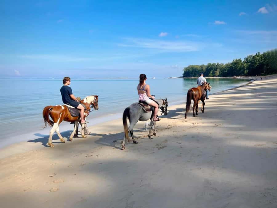 Phuket Beach Horseback Adventure - Check in at COLTS Horse Riding, then meet your horse
