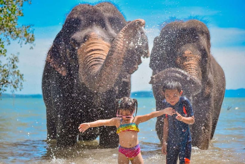 Phuket:Beach walk with elephants, rain & care. 2.5 hours - Key things that make this elephant beach walk special