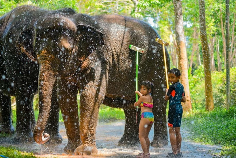 Phuket:Beach walk with elephants, rain & care. 2.5 hours - Price and value: is $59 per person worth it?