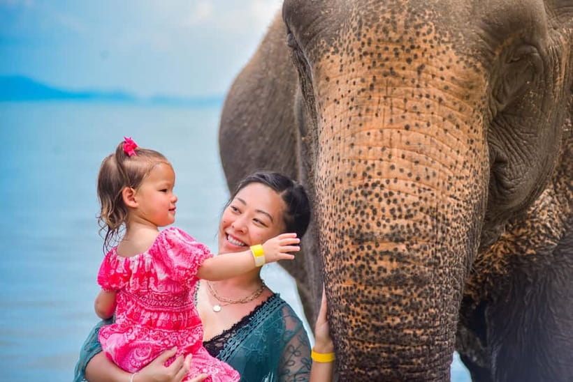 Phuket:Beach walk with elephants, rain & care. 2.5 hours - Lily Elephant Camp by the sea: what the Phuket setting does for the experience