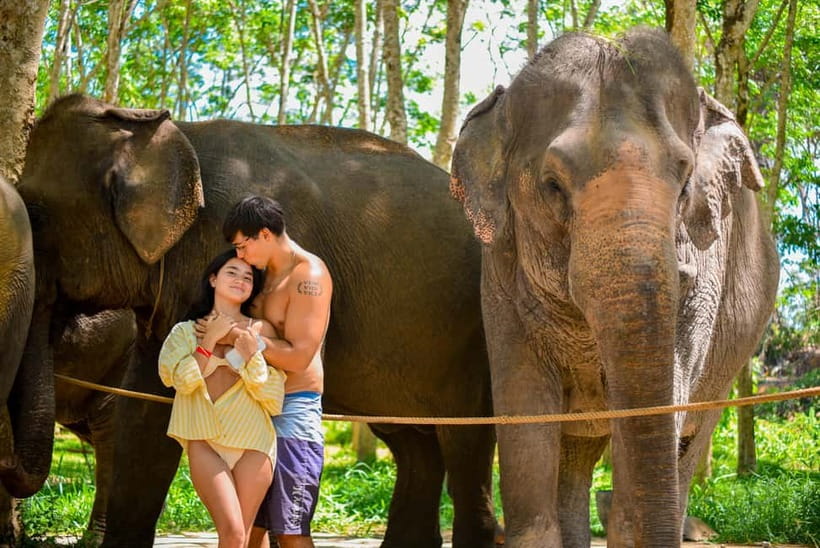 Phuket:Beach walk with elephants, rain & care. 2.5 hours - Private beach brushing and feeding: the hands-on part you’ll remember
