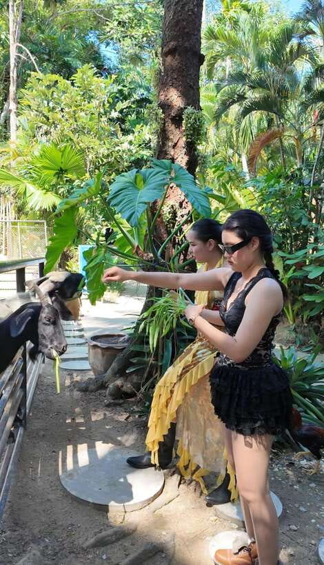 Phuket: Bird Park Entry Ticket - Key things I found interesting about Phuket: Bird Park Entry
