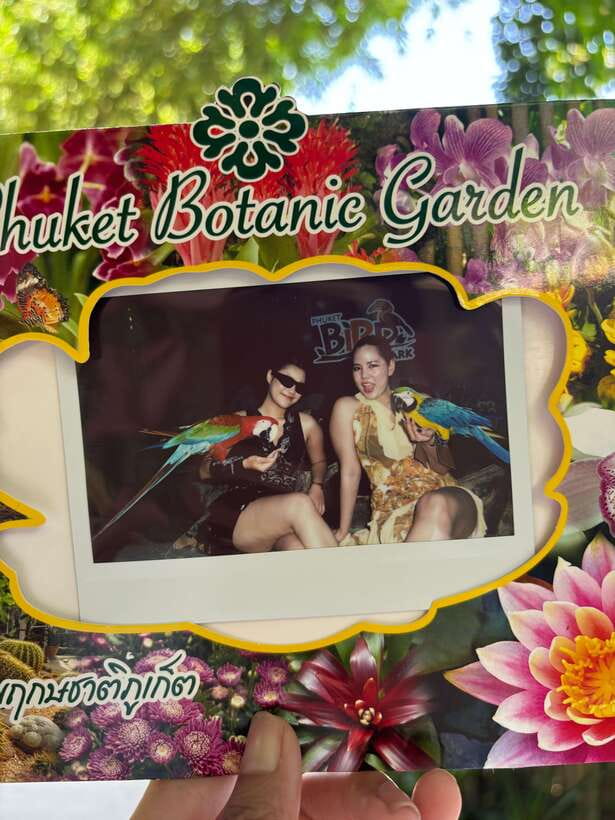 Phuket: Bird Park Entry Ticket - Phuket Bird Park: A Break From Beach Days