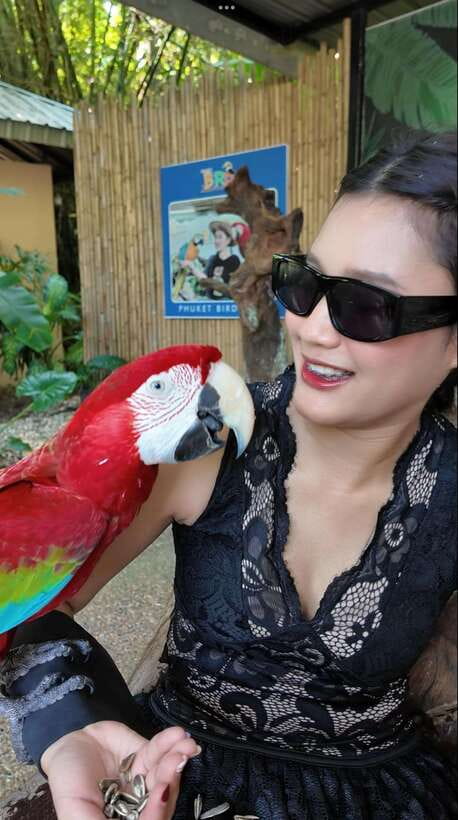 Phuket: Bird Park Entry Ticket - Arriving at the Park: What Your Hour-by-Hour Feels Like