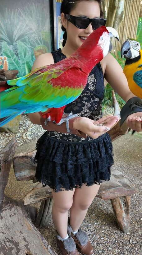 Phuket: Bird Park Entry Ticket - Photography in Phuket: Simple Tactics That Work in a Bird Park