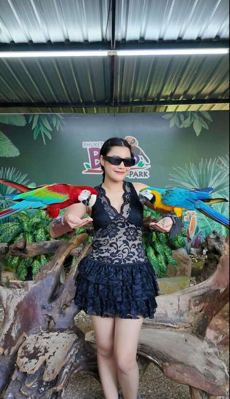 Phuket: Bird Park Entry Ticket - The Other Animals: Why It Helps the Whole Visit