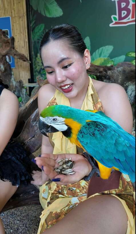 Phuket: Bird Park Entry Ticket - Price and Value for a 1-Day Bird Park Ticket