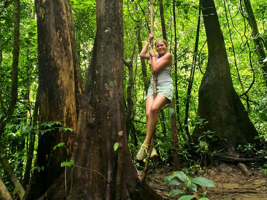 Phuket: Cheow Lan Lake, Diamond Cave, Hiking, All Included - PhuTawan Rafthouse Lunch: Where the Lake Stops Feeling Like a Tour