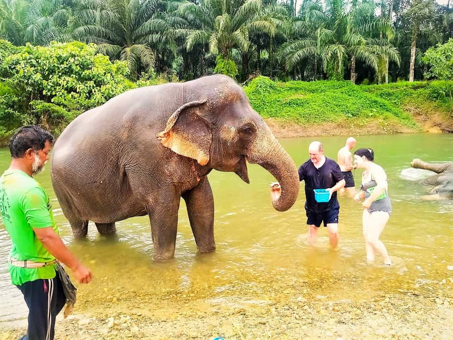 Phuket: Cheow Lan Lake Overnight with Elephant Day Care - Day 1 wildlife safari on the water at Khlong Seang
