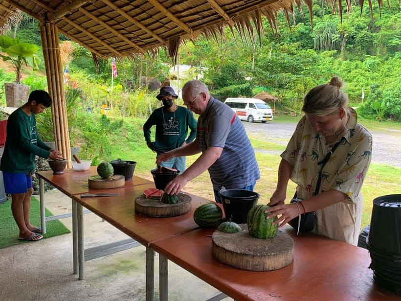 Phuket City Tour with Night Market Visit & Elephant Feeding - Elephant feeding at Phuket Elephant Care: the main event