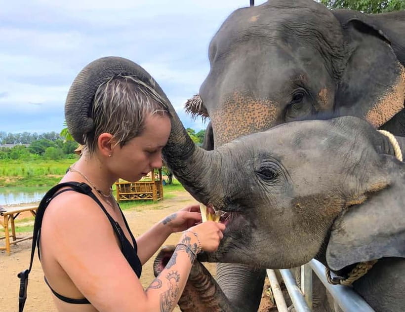 Phuket City Tour with Night Market Visit & Elephant Feeding - Viewpoints with serious payoff: Karon and the Windmill