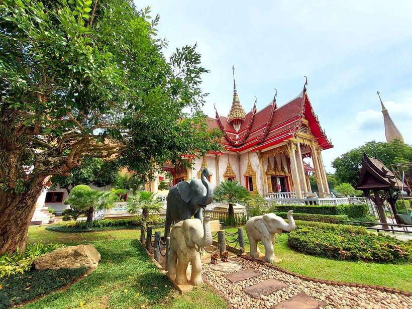 Phuket City Tour with Viewpoints, Temples & Elephant Feeding - Phuket Elephant Care Sanctuary: Feeding Time You’ll Remember