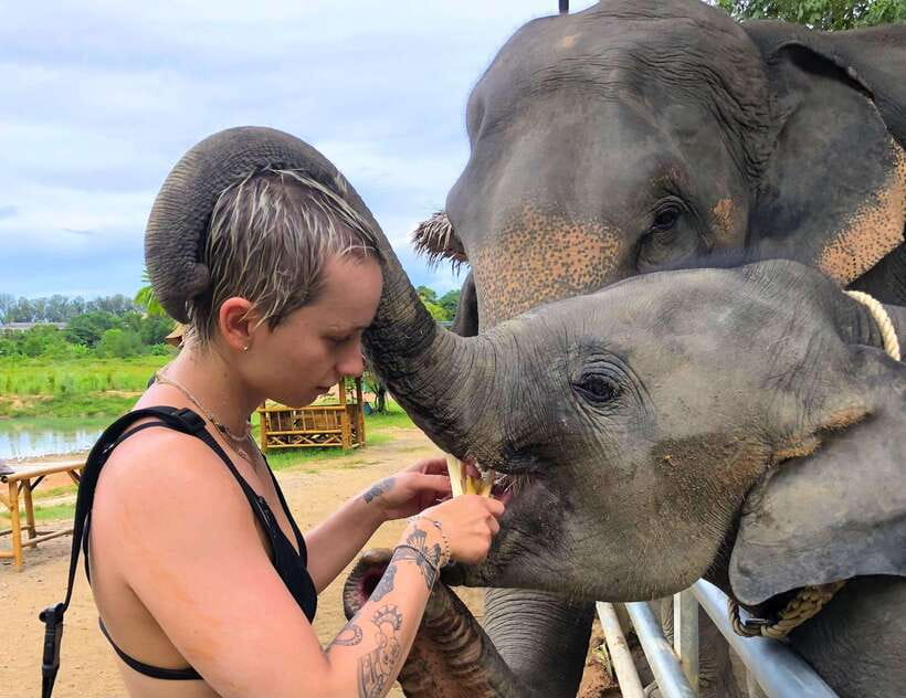 Phuket City Tour with Viewpoints, Temples & Elephant Feeding - Price and Logistics: Is $48 Good Value?