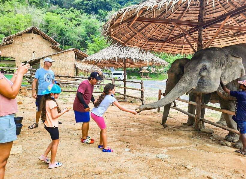 Phuket City Tour with Viewpoints, Temples & Elephant Feeding - From Pickup to First Views: Getting Oriented Fast