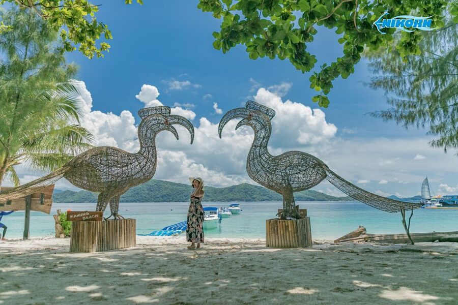 Phuket: Coral Island Day Tour by Speedboat - Who this tour suits best, and who should consider a different plan