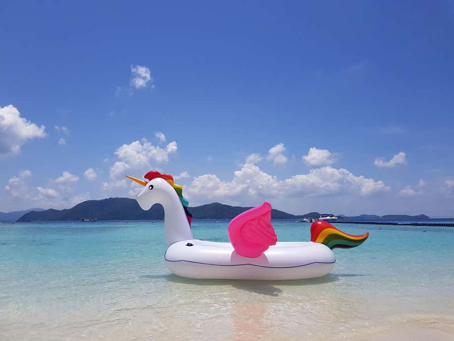 Phuket: Coral Island Snorkeling and Water Activities Trip - Who Should Book This Coral Island Trip, and Who Should Skip It