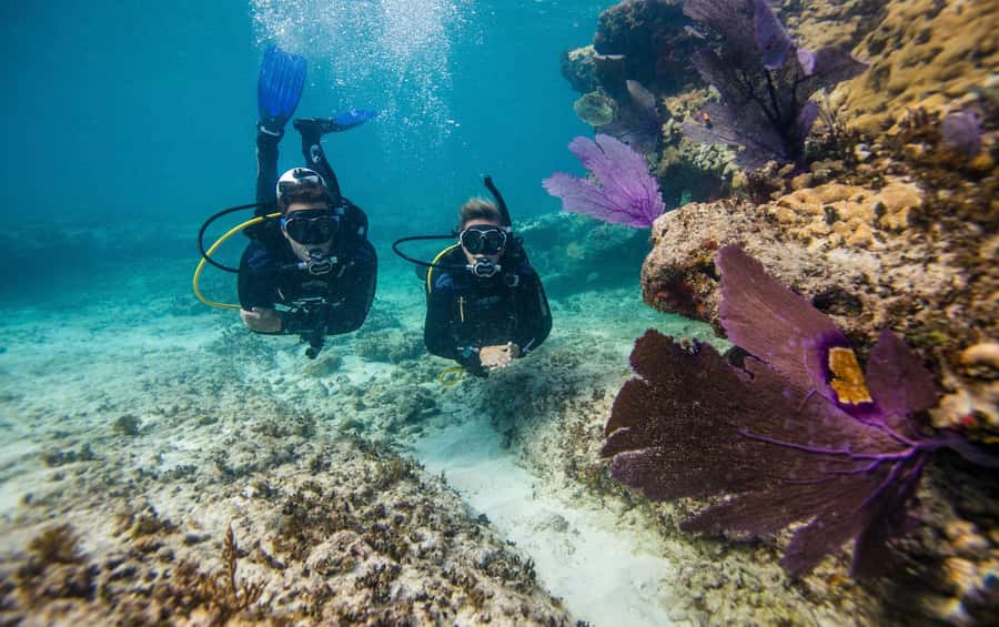 Phuket: Coral Island Snorkeling and Water Activities Trip - Kahung Restaurant Lunch, Plus Drinks and Fruit