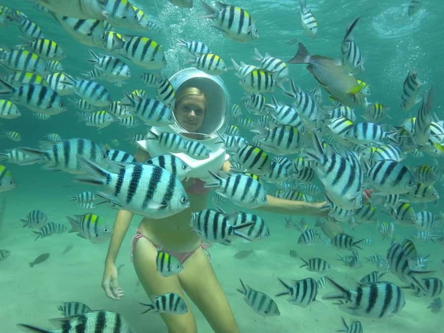 Phuket: Coral Island Snorkeling and Water Activities Trip - Logistics That Keep the Day From Feeling Chaotic