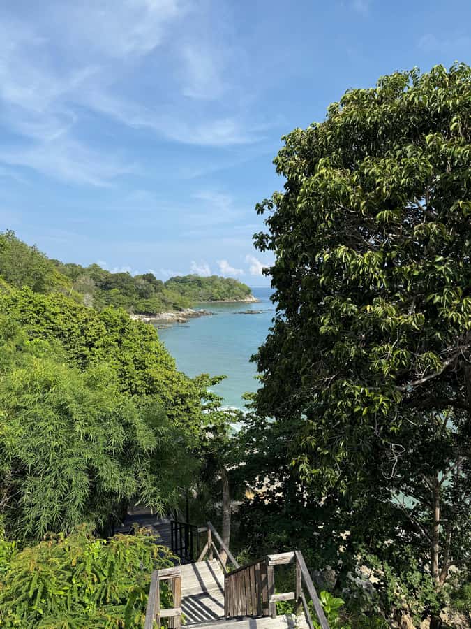 Phuket: Coral Reef Scuba Diving Experience at G Beach Club - Price and the 100 THB gate fee, where the value really comes from
