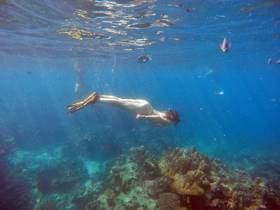 Phuket: Deluxe Phi Phi Tour by Speedboat & Lunch Buffet - Bamboo Island: your first big swim and snorkeling hour