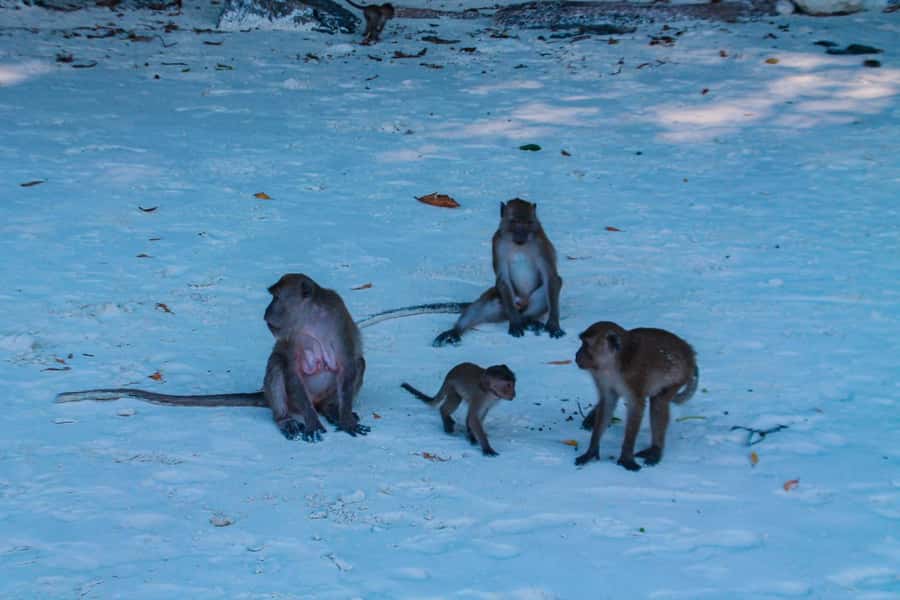 Phuket: Deluxe Phi Phi Tour by Speedboat & Lunch Buffet - The “in-between” scenery: Nui Bay and Camel Rock