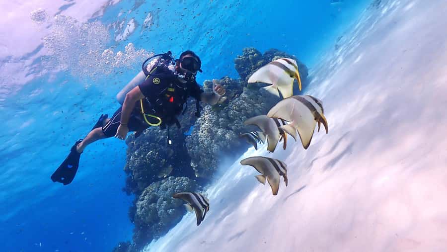 Phuket: Discover Scuba Diving to Racha Yai Island - Price and Value: Is 153 USD a Good Deal?