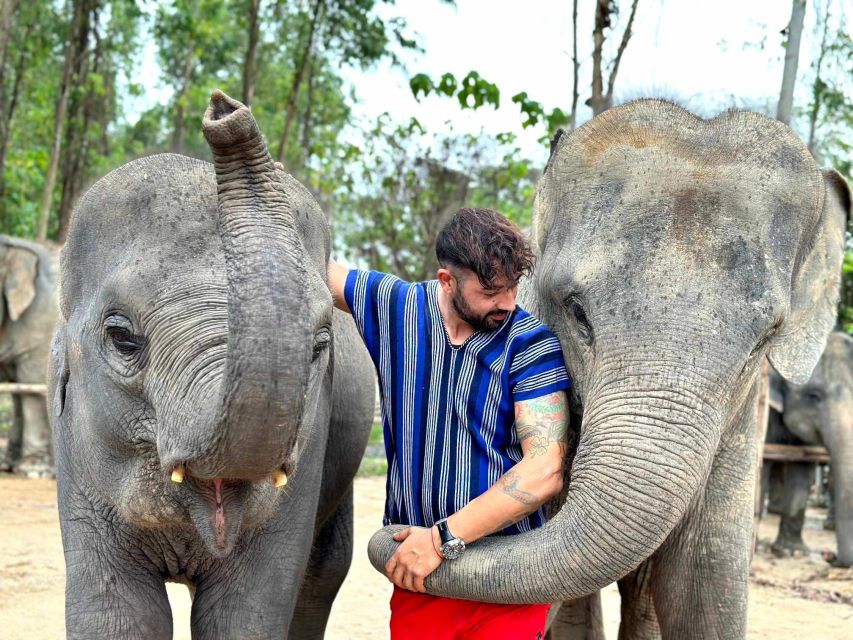 Phuket: Elephant Experience with Lunch or Dinner and Pickup - Key Highlights Worth Planning Around