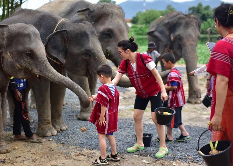 Phuket: Elephant Experience with Lunch or Dinner and Pickup - Who This Tour Fits Best in Phuket