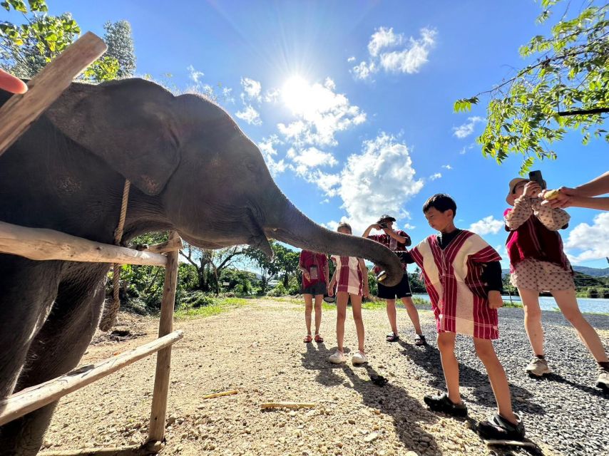 Phuket: Elephant Experience with Lunch or Dinner and Pickup - Phuket Elephant Sanctuary Pickup, Timing, and Getting There