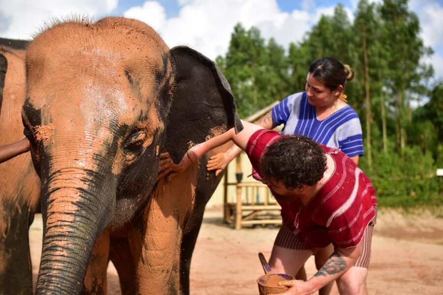 Phuket: Elephant Experience with Lunch or Dinner and Pickup - Mud Spa and Bathing Time, Why You Should Pack Like a Swimmer