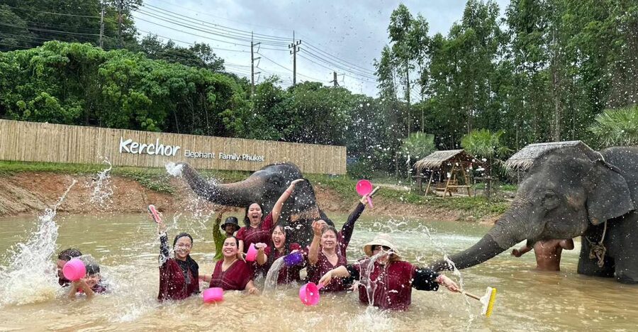 Phuket: Elephant Experience with Lunch or Dinner and Pickup - Meeting The Elephants At Kerchor Elephant Family Phuket