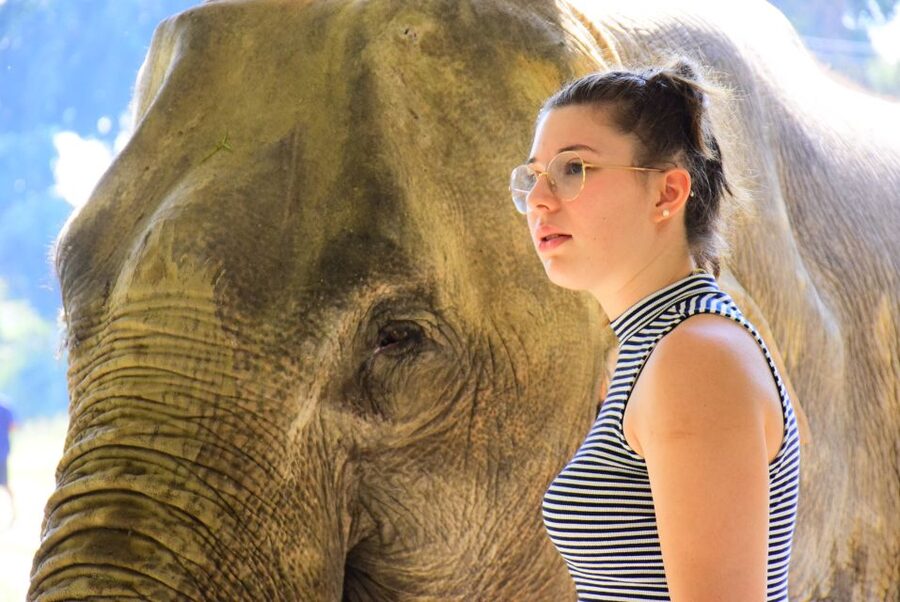 Phuket: Elephant Feeding Program - Learning to prepare the elephant food in 15 minutes