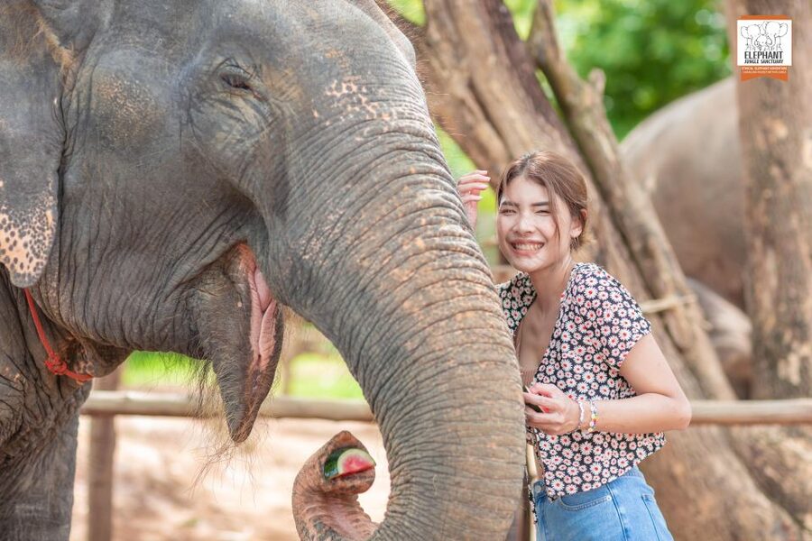 Phuket: Elephant Jungle Sanctuary Ethical Feeding Experience - Where Elephant Jungle Sanctuary Phuket fits in your Thailand trip