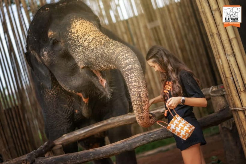 Phuket: Elephant Jungle Sanctuary Ethical Feeding Experience - Price and value: is $28 a fair deal in Phuket?