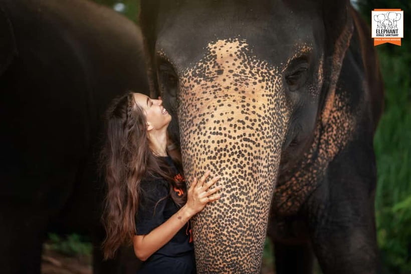 Phuket: Elephant Jungle Sanctuary Ethical Feeding Experience - Who this experience suits best