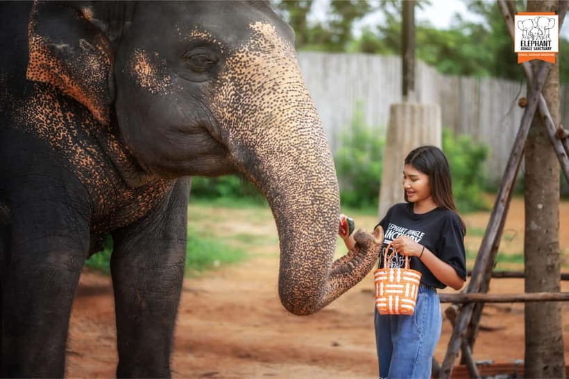 Phuket: Elephant Jungle Sanctuary Ethical Feeding Experience - Should you book Elephant Jungle Sanctuary Phuket’s Feed Me experience?