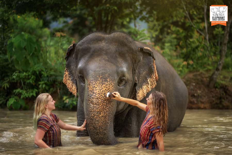 Phuket: Elephant Jungle Sanctuary Half-Day Visit with Meal - Key things I’d bank on here