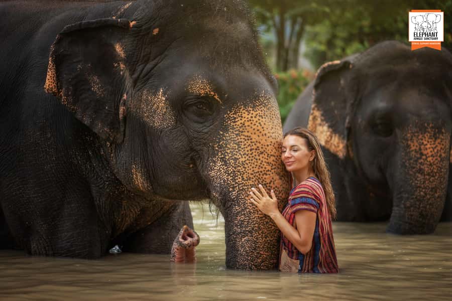 Phuket: Elephant Jungle Sanctuary Half-Day Visit with Meal - Getting to the sanctuary: pickup, first briefing, and what to expect