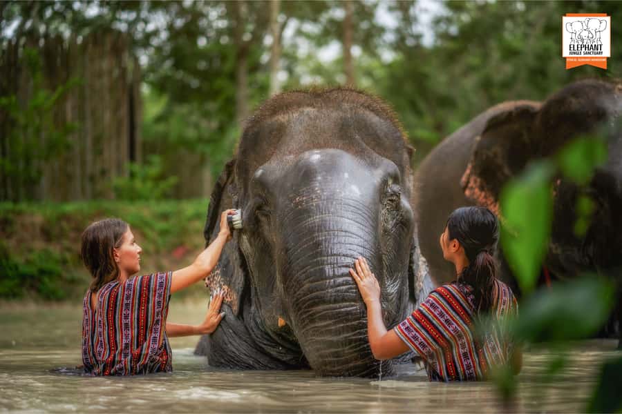 Phuket: Elephant Jungle Sanctuary Half-Day Visit with Meal - The Thai meal: real food at the end, not a token snack