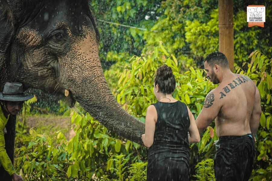 Phuket: Elephant Jungle Sanctuary Half-Day Visit with Meal - Ethical sanity check: what to look for in how staff run the day