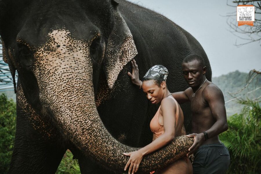 Phuket: Elephant Jungle Sanctuary Half-Day Visit with Meal - Practical tips so your day stays fun, not miserable