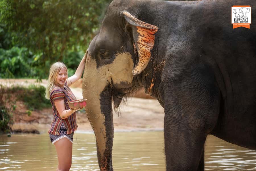 Phuket: Elephant Jungle Sanctuary Half-Day Visit with Meal - Feeding and walking with the elephants in the sanctuary