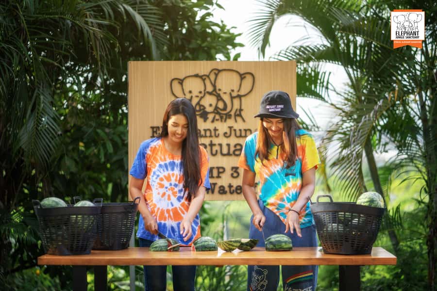 Phuket: Elephant Jungle Sanctuary 'Watch Me' Experience - Key highlights to know before you go