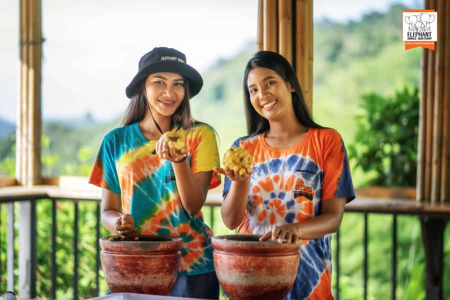 Phuket: Elephant Jungle Sanctuary 'Watch Me' Experience - Should you book the Elephant Jungle Sanctuary Watch Me experience?