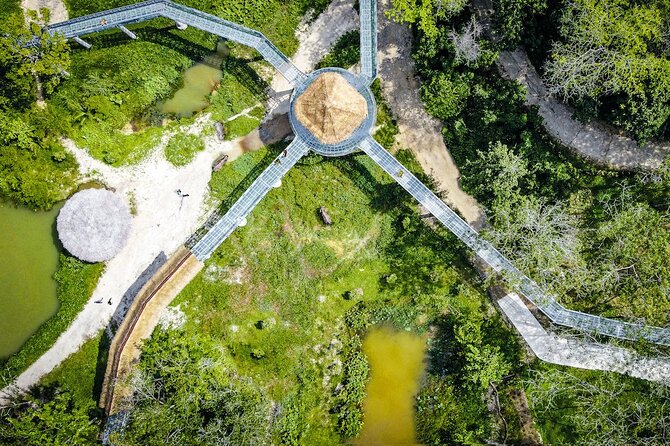 Phuket: Elephant Sanctuary Canopy Walkway Tour - Guides make or break it, and this one has strong storytelling
